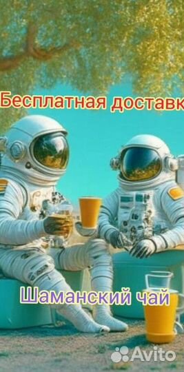 Чай пуэр « Космос шаманов » шмн14491