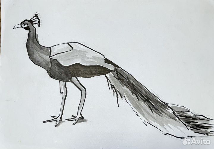 Эскизы к орнаменту с павлинами