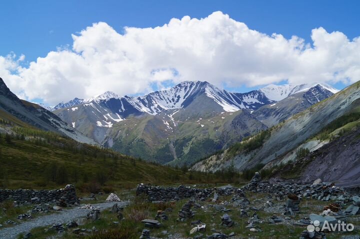 К Белухе с легкими рюкзаками. Алтай