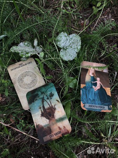 Расклад на картах