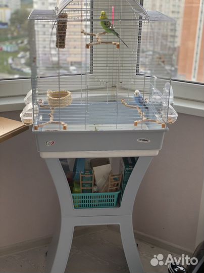 Попугай+ клетка