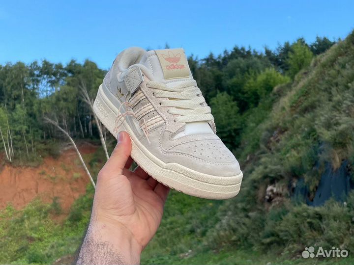 Adidas Forum 84 Low