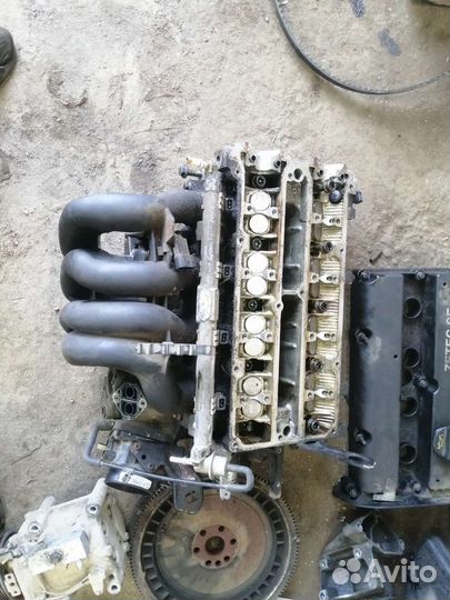 Ford focus Двигатель 1.6 zetec fydb в разобор