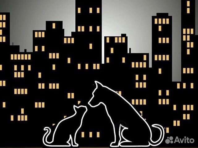 Работник в приют для животных