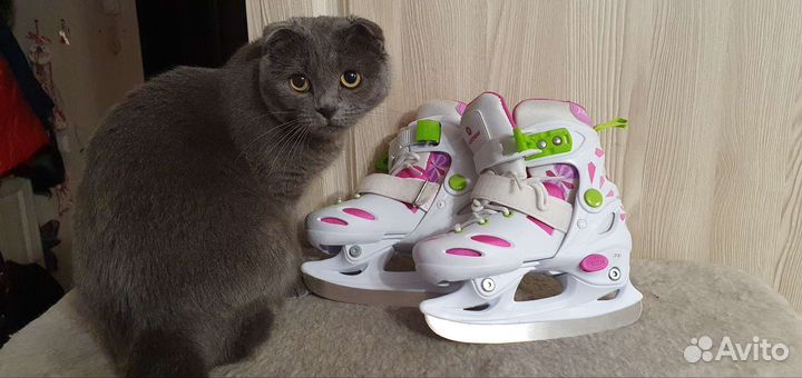 Детские раздвижные коньки