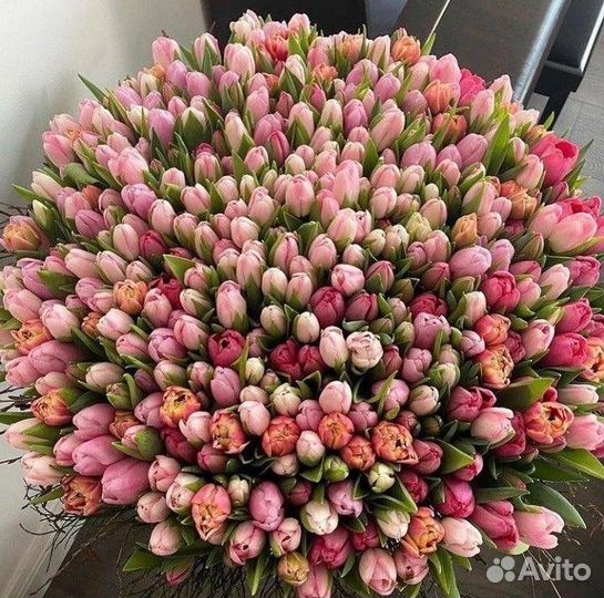 Тюльпаны букет, тюльпаны, тюльпаны голландия