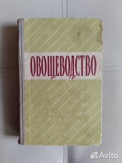 Овощеводство