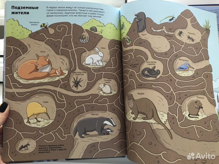 Детская энциклопедия