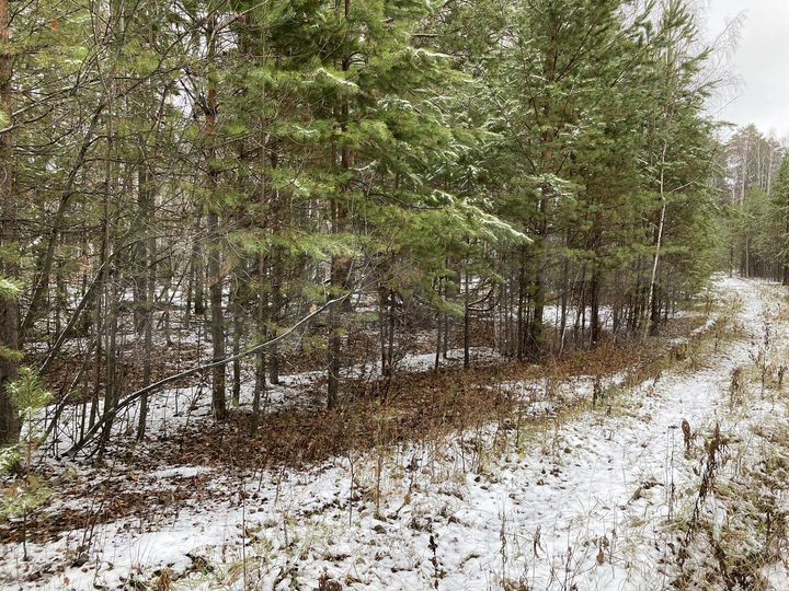 Участок 100 сот. (СНТ, ДНП)