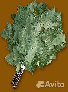 Веники берёзовые, пихтовые, дубовые, бамбуковые