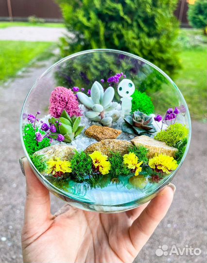 Флорариумы, моссариумы, мини-сидики из суккулентов