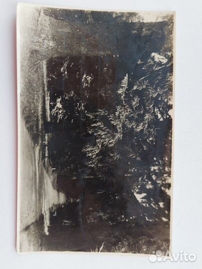 Почтовая карточка Село Михайловское 1954