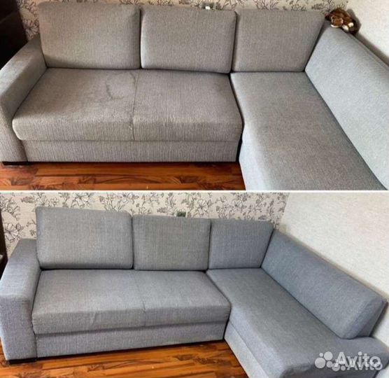 Моющий пылесос Karcher в аренду