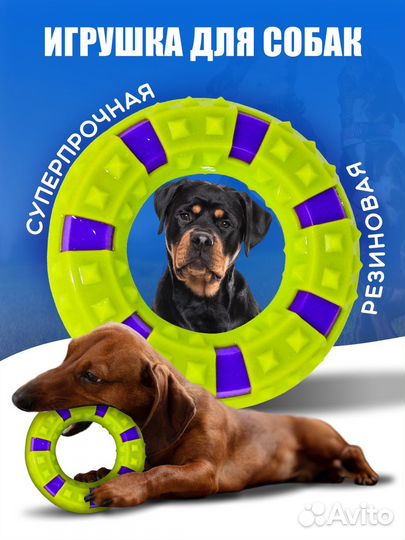 Игрушка кольцо для собак