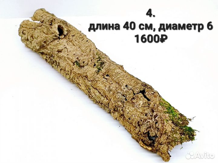 Кора пробкового дуба цилиндры