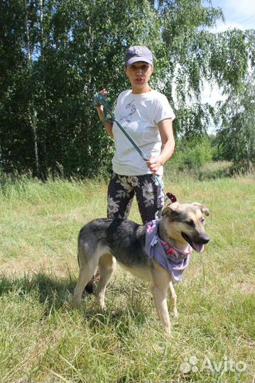 Собака Брусничка надеется на удачу