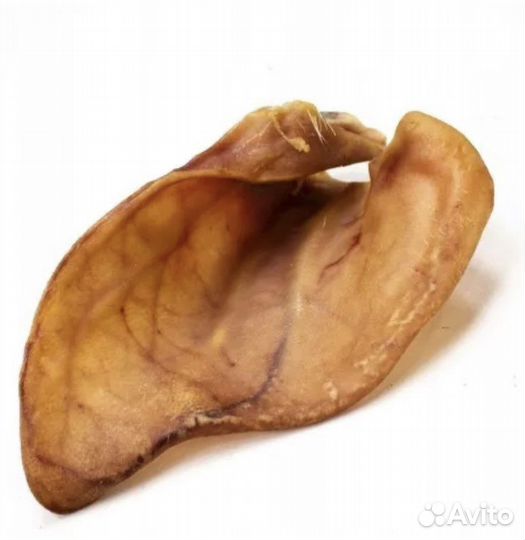 Лакомства для собак