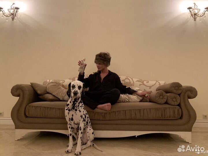 Фотосессия с долматином