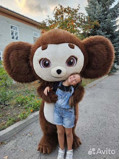 Белый Медведь Мишка Поздравление С Днем Рождения