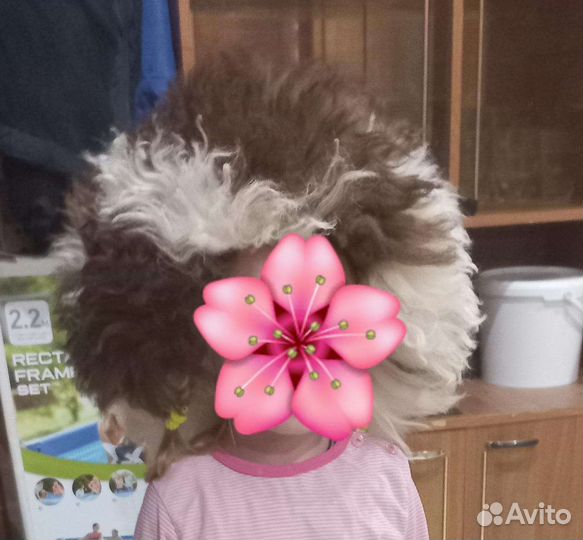 Папаха кавказская