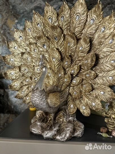 Роскошный павлин