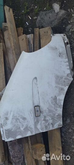 Крылья от газели