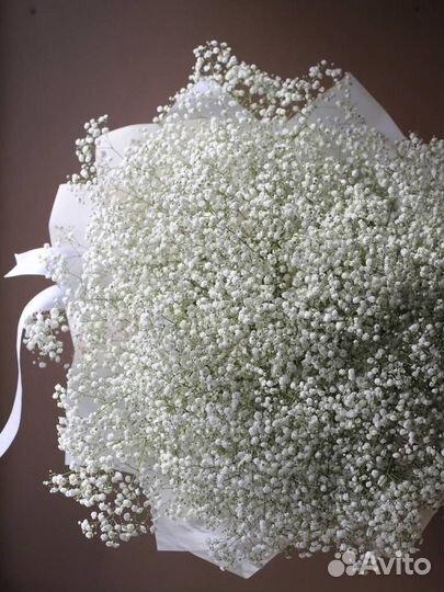 Букет из гипсофилы доставка цветов сочи