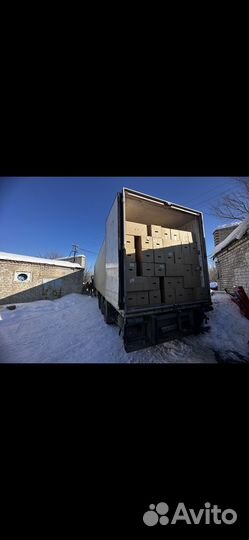 Яйцо куриное оптом С1,С2,С0,св