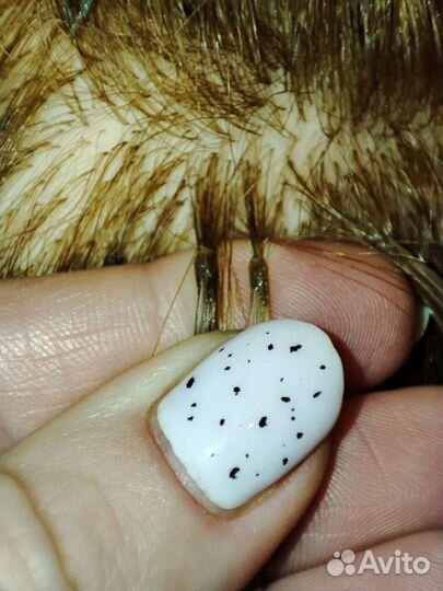 Наращивание волос