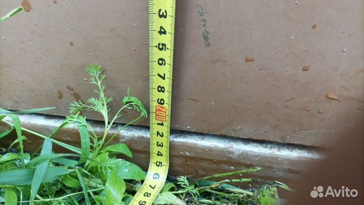 Дверь металлическая