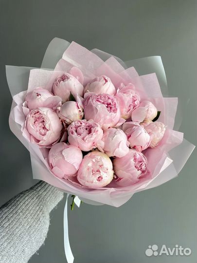 Пионы Пион Букет