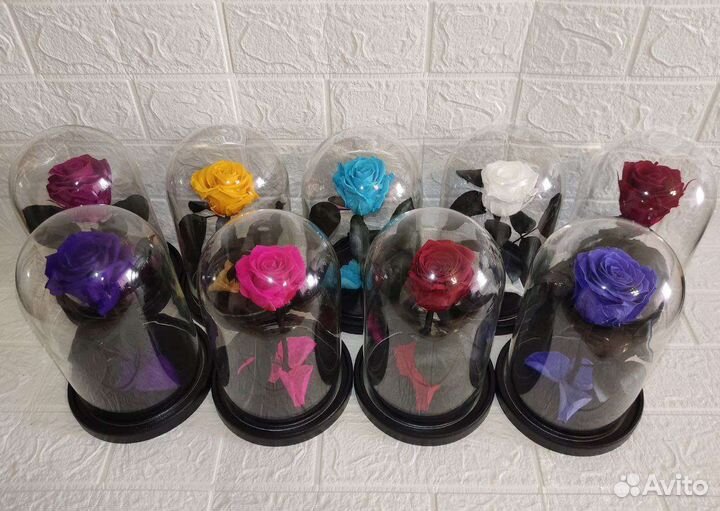 Роза в колбе(5лет) и лучший подарок на праздник