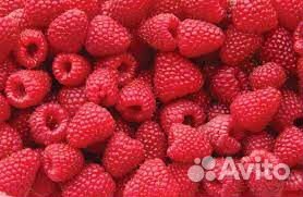 Малина ягода