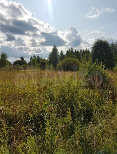 Участок 30 сот. (СНТ, ДНП)