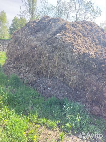 Коровий навоз