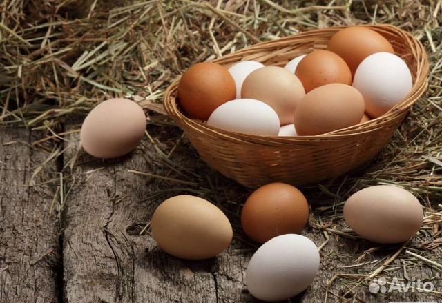 Домашние куриные яйца