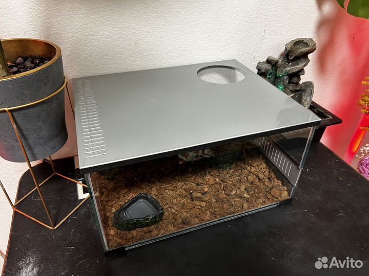 Террариум для эублефара, змеи, рептилий