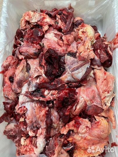 Ливер бараний гусак-сердце, легкое, печень