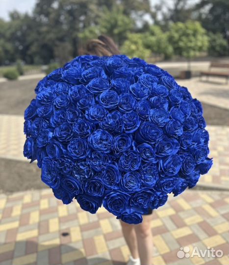 101 синяя роза цветы букеты роз