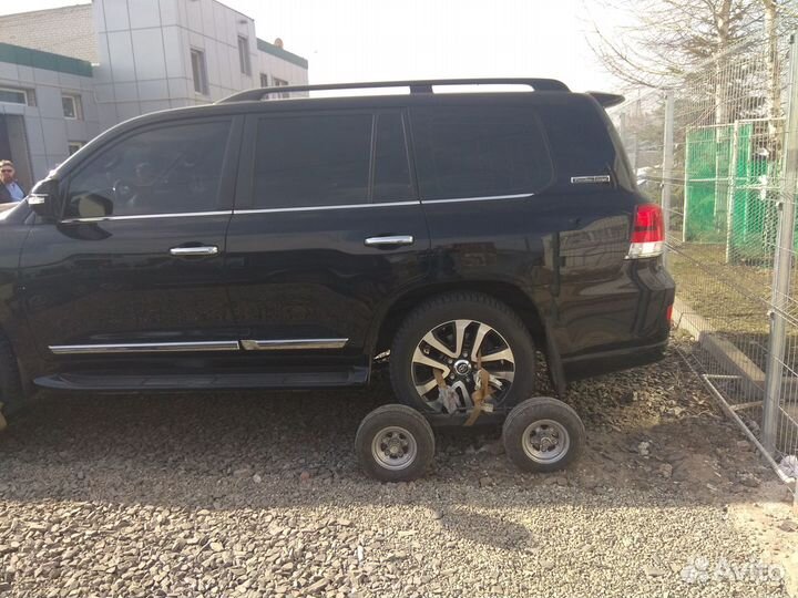 Комплекс Долли