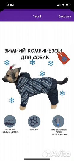 Комбинезон Dogmoda, р.5