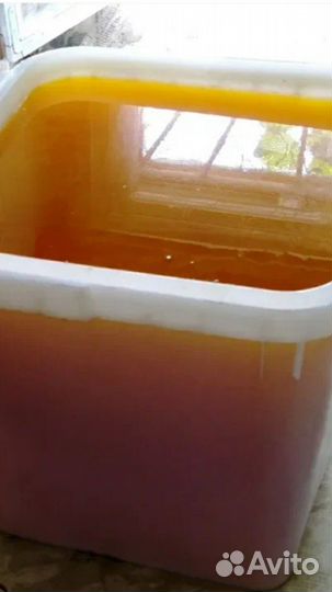 Липовый мёд 2023г отправка по россии ТК