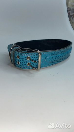 Ошейник для собак