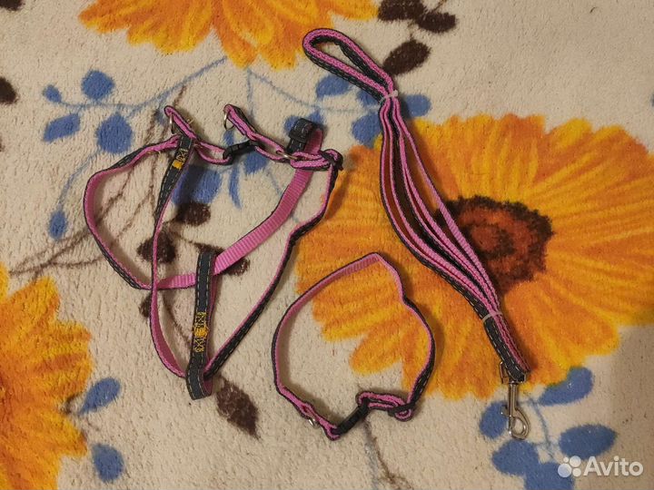 Набор шлейка, поводок, ошейник