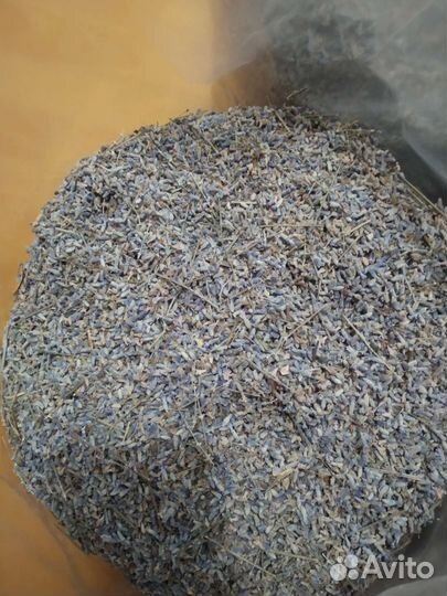 Лаванда сухая 2023