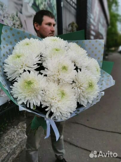 Букет хризантема одноголовая Букет хризантем