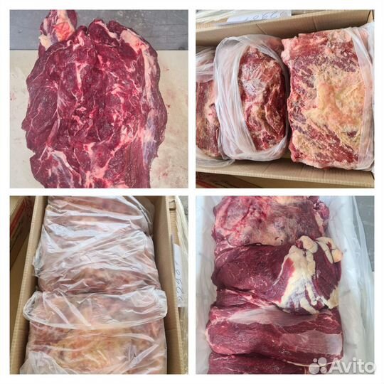 Мясо говядина,свинина,конина от 300кг