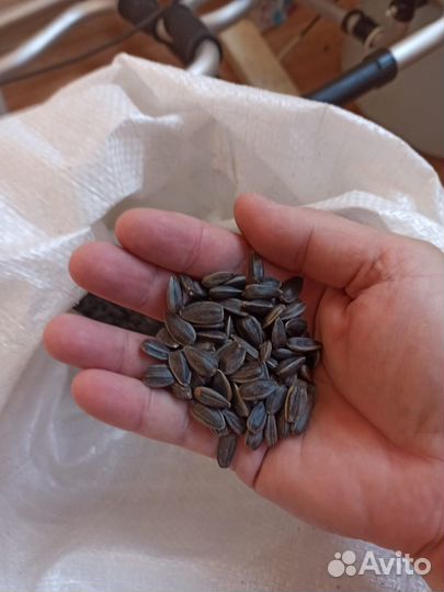 Семечки мешок калиброванные