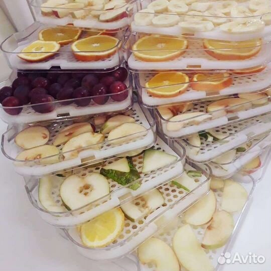 Дегидратор Gochu D-310 (10 поддонов). Сушилка