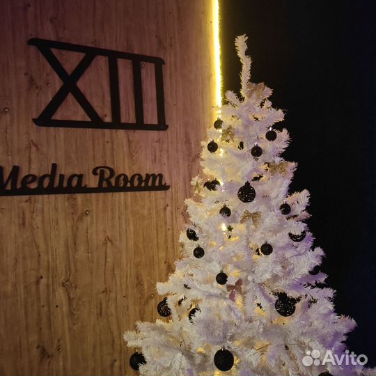 Помещение под мероприятие